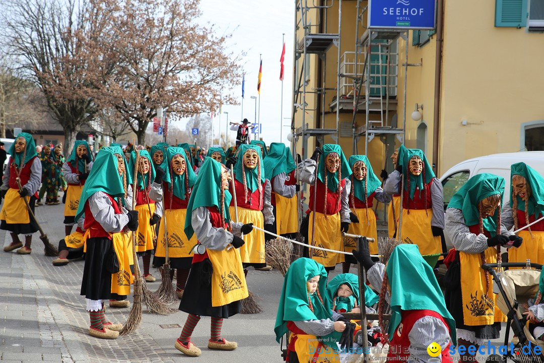 Fasnetsumzug mit Narrenbaumstellen: Meersburg am Bodensee, 24.02.2019