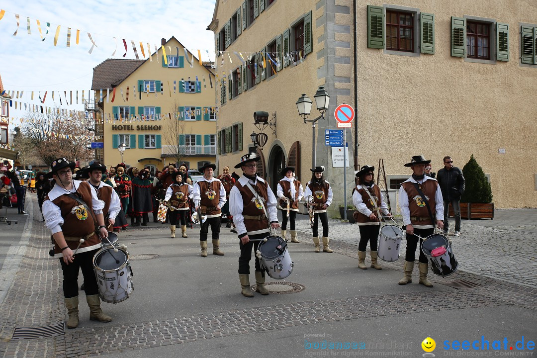 Fasnetsumzug mit Narrenbaumstellen: Meersburg am Bodensee, 24.02.2019