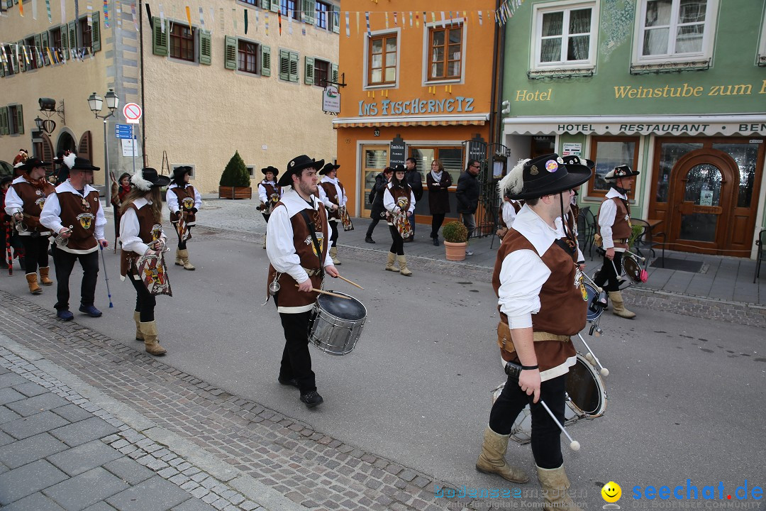 Fasnetsumzug mit Narrenbaumstellen: Meersburg am Bodensee, 24.02.2019