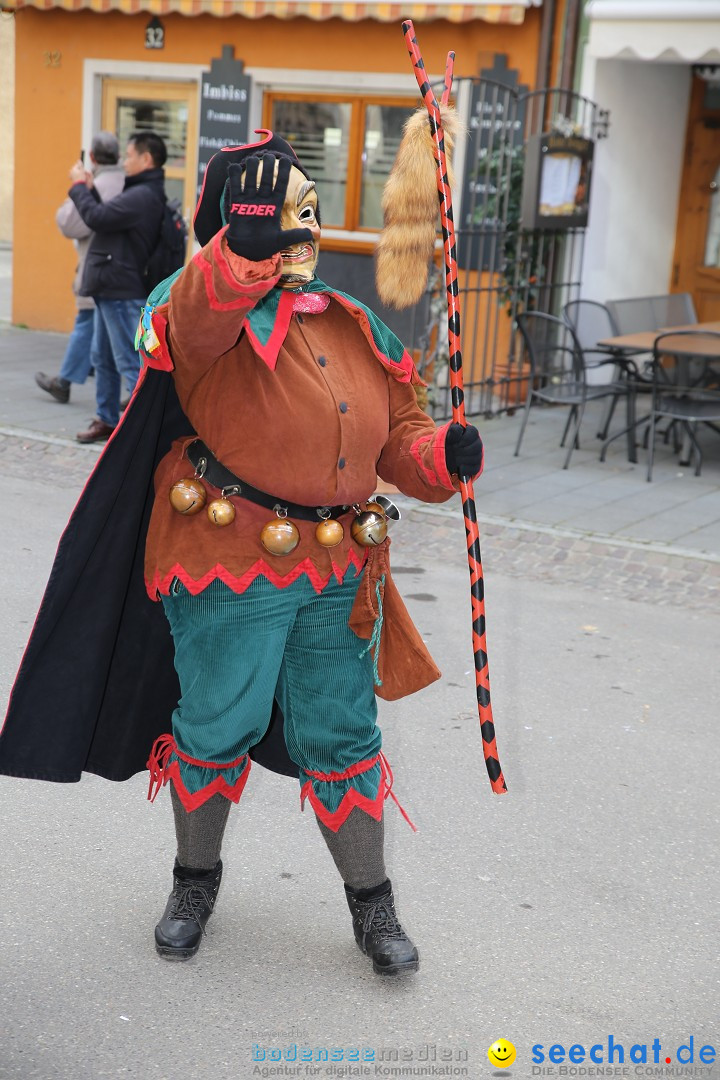 Fasnetsumzug mit Narrenbaumstellen: Meersburg am Bodensee, 24.02.2019