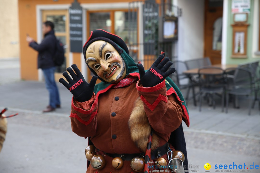 Fasnetsumzug mit Narrenbaumstellen: Meersburg am Bodensee, 24.02.2019