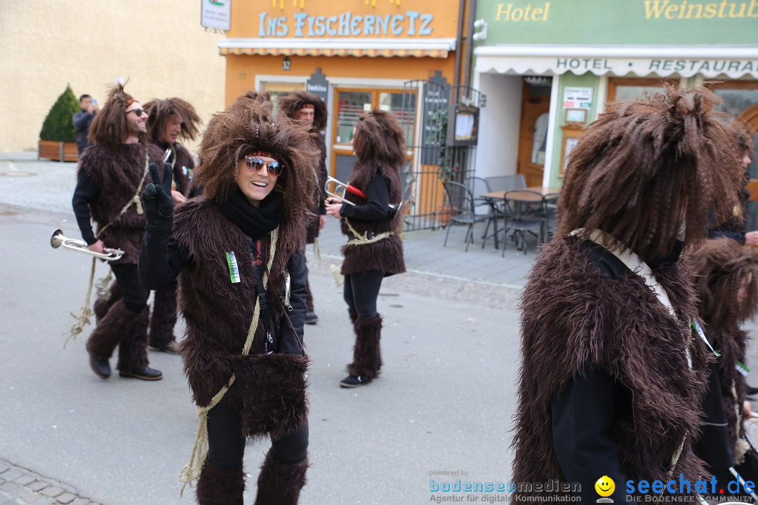 Fasnetsumzug mit Narrenbaumstellen: Meersburg am Bodensee, 24.02.2019