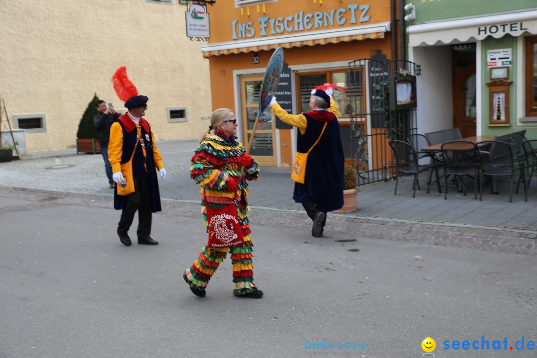 Fasnetsumzug mit Narrenbaumstellen: Meersburg am Bodensee, 24.02.2019