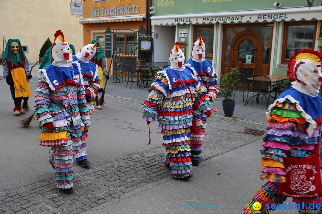 Fasnetsumzug mit Narrenbaumstellen: Meersburg am Bodensee, 24.02.2019