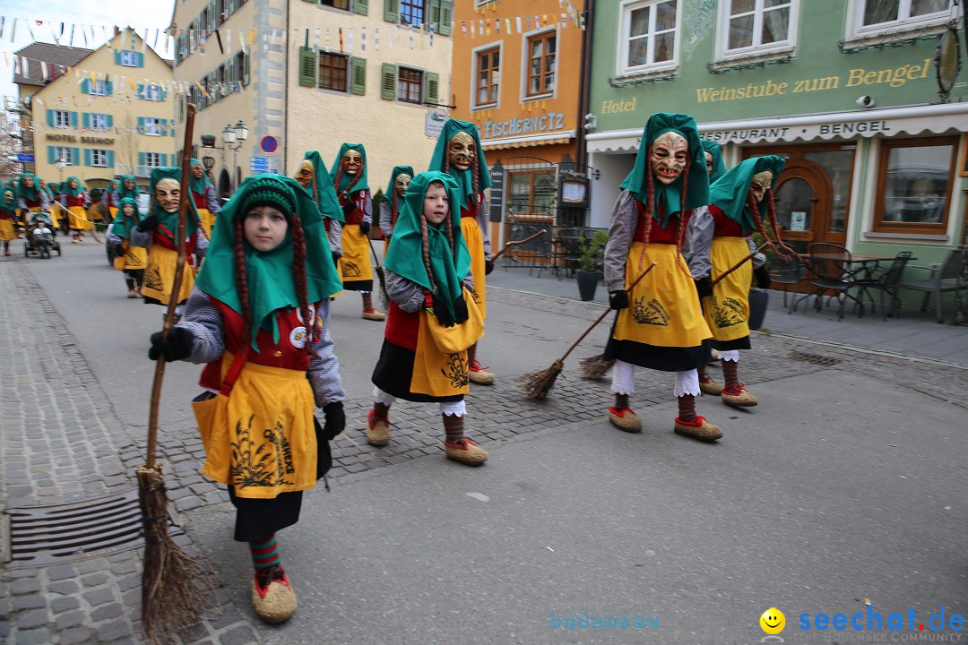 Fasnetsumzug mit Narrenbaumstellen: Meersburg am Bodensee, 24.02.2019