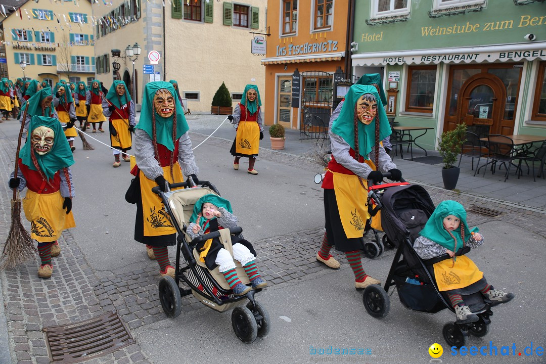 Fasnetsumzug mit Narrenbaumstellen: Meersburg am Bodensee, 24.02.2019