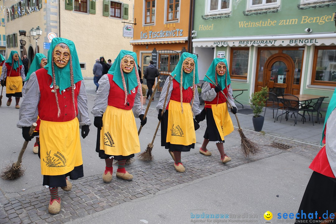 Fasnetsumzug mit Narrenbaumstellen: Meersburg am Bodensee, 24.02.2019