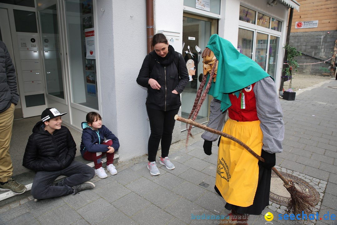 Fasnetsumzug mit Narrenbaumstellen: Meersburg am Bodensee, 24.02.2019