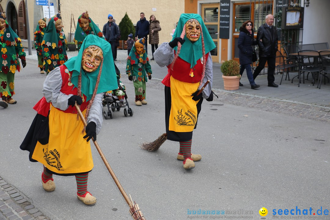 Fasnetsumzug mit Narrenbaumstellen: Meersburg am Bodensee, 24.02.2019