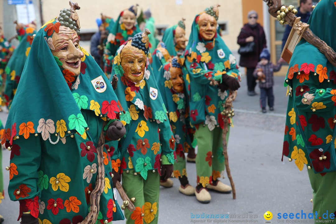 Fasnetsumzug mit Narrenbaumstellen: Meersburg am Bodensee, 24.02.2019