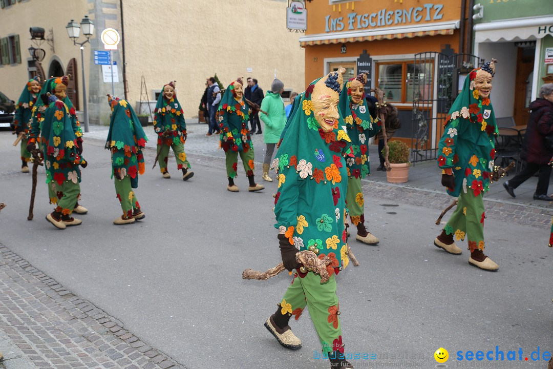 Fasnetsumzug mit Narrenbaumstellen: Meersburg am Bodensee, 24.02.2019