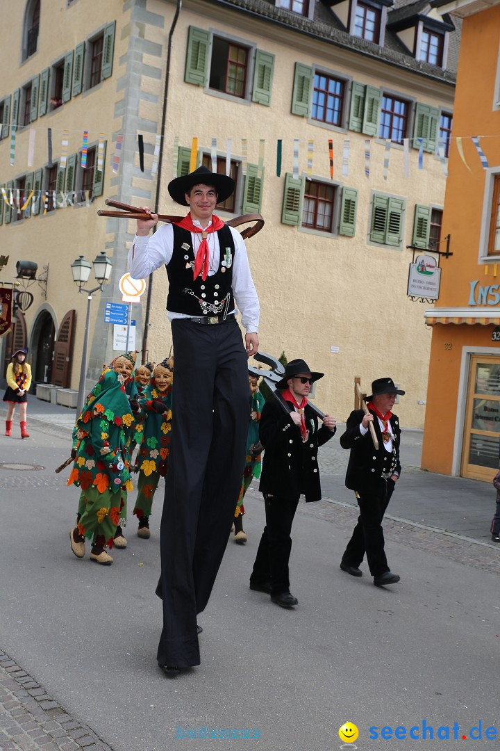 Fasnetsumzug mit Narrenbaumstellen: Meersburg am Bodensee, 24.02.2019