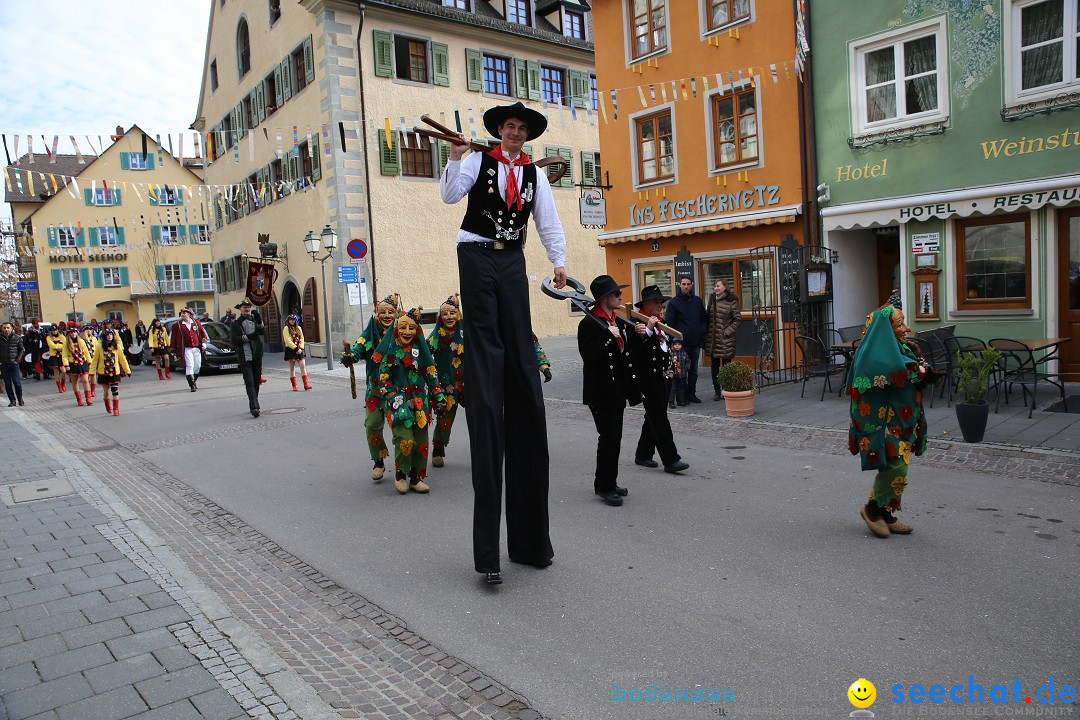 Fasnetsumzug mit Narrenbaumstellen: Meersburg am Bodensee, 24.02.2019