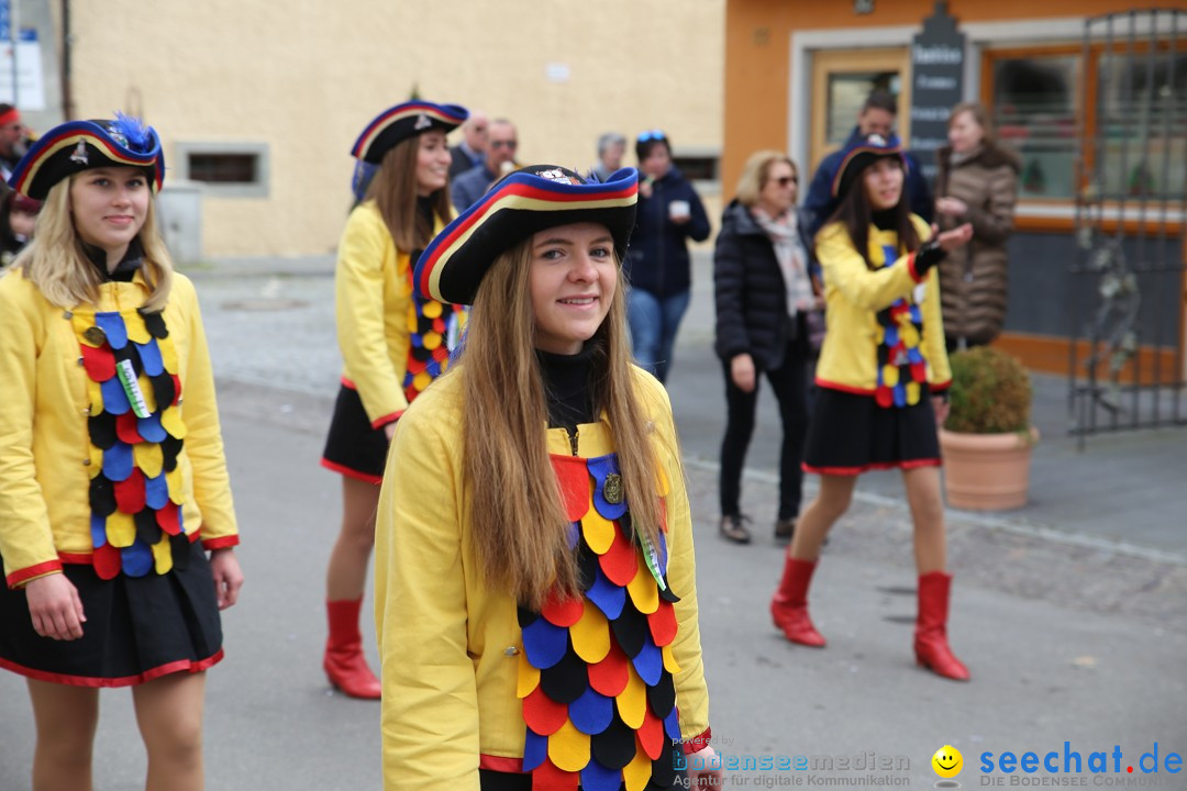 Fasnetsumzug mit Narrenbaumstellen: Meersburg am Bodensee, 24.02.2019