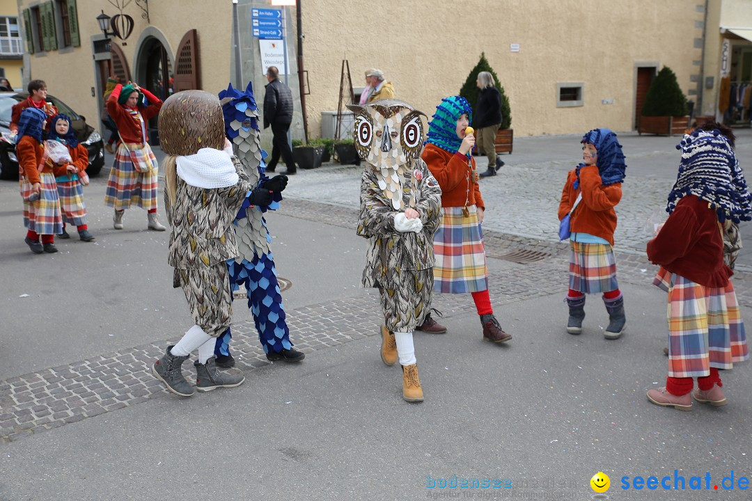 Fasnetsumzug mit Narrenbaumstellen: Meersburg am Bodensee, 24.02.2019