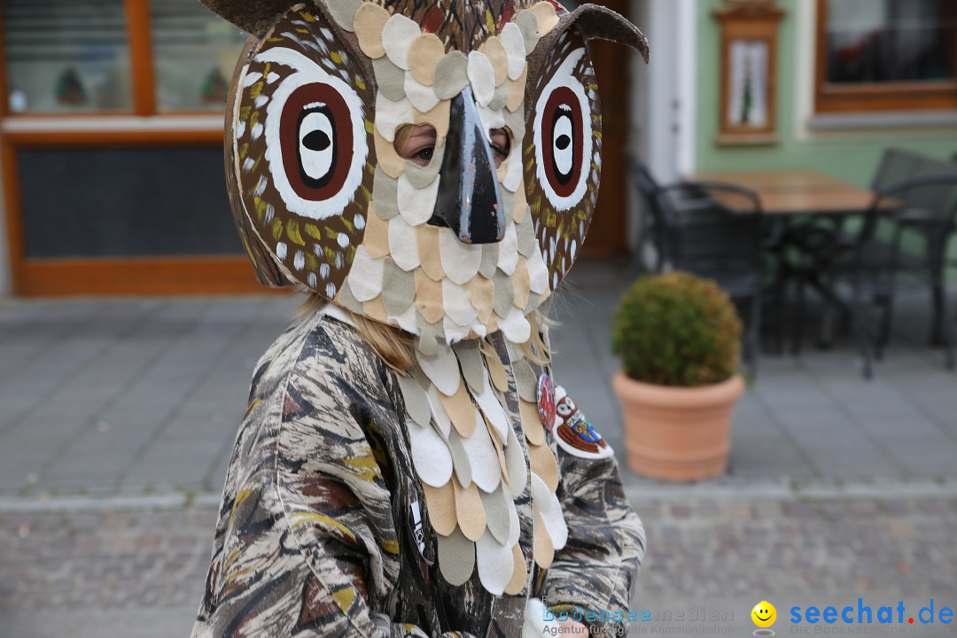 Fasnetsumzug mit Narrenbaumstellen: Meersburg am Bodensee, 24.02.2019