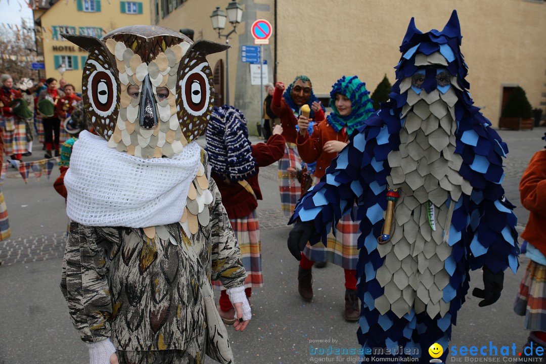 Fasnetsumzug mit Narrenbaumstellen: Meersburg am Bodensee, 24.02.2019