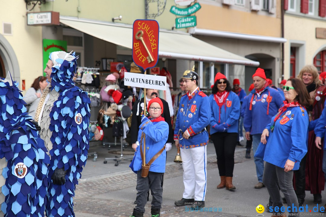 Fasnetsumzug mit Narrenbaumstellen: Meersburg am Bodensee, 24.02.2019