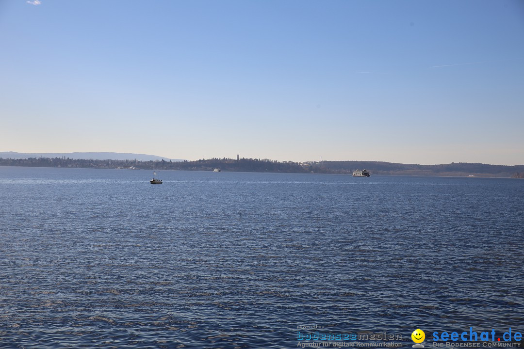 Fasnetsumzug mit Narrenbaumstellen: Meersburg am Bodensee, 24.02.2019