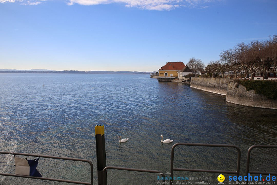 Fasnetsumzug mit Narrenbaumstellen: Meersburg am Bodensee, 24.02.2019