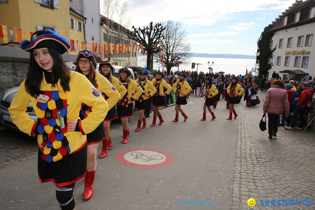 Fasnetsumzug mit Narrenbaumstellen: Meersburg am Bodensee, 24.02.2019