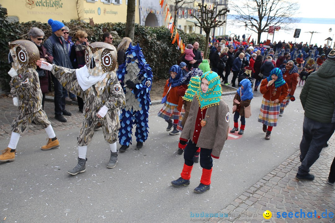 Fasnetsumzug mit Narrenbaumstellen: Meersburg am Bodensee, 24.02.2019