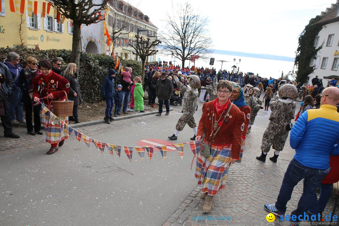 Fasnetsumzug mit Narrenbaumstellen: Meersburg am Bodensee, 24.02.2019