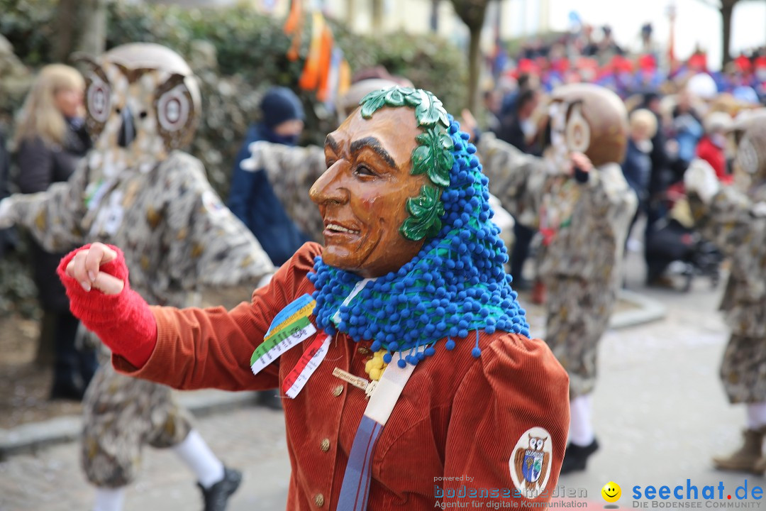 Fasnetsumzug mit Narrenbaumstellen: Meersburg am Bodensee, 24.02.2019