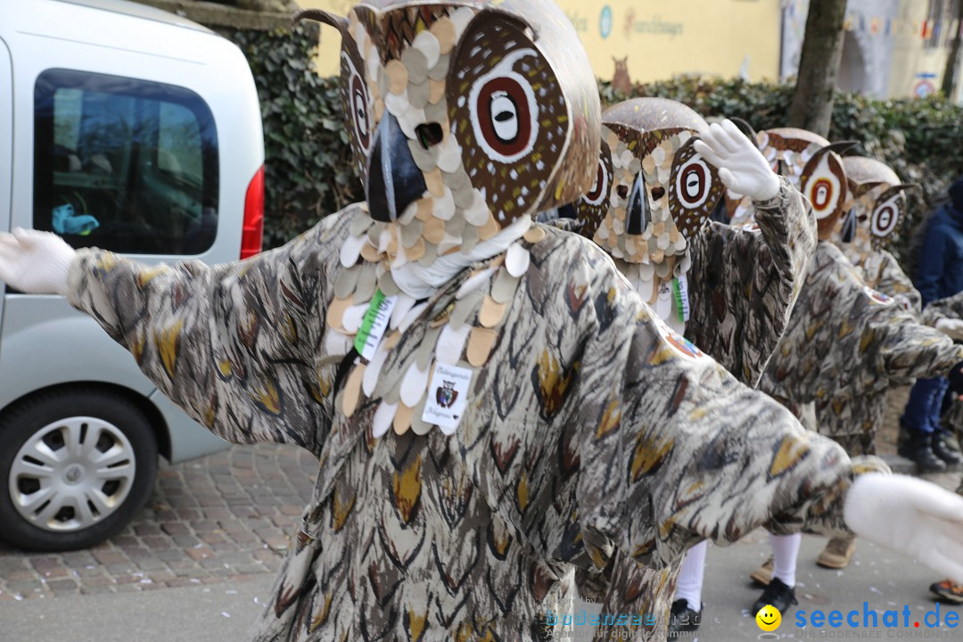 Fasnetsumzug mit Narrenbaumstellen: Meersburg am Bodensee, 24.02.2019