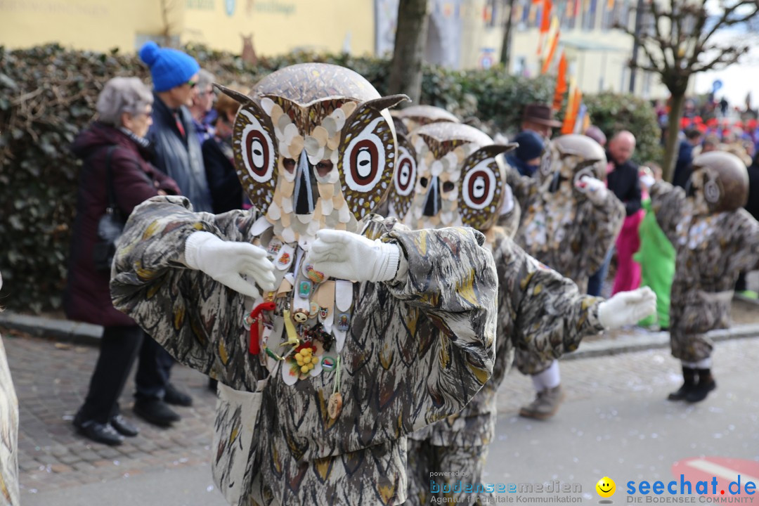 Fasnetsumzug mit Narrenbaumstellen: Meersburg am Bodensee, 24.02.2019