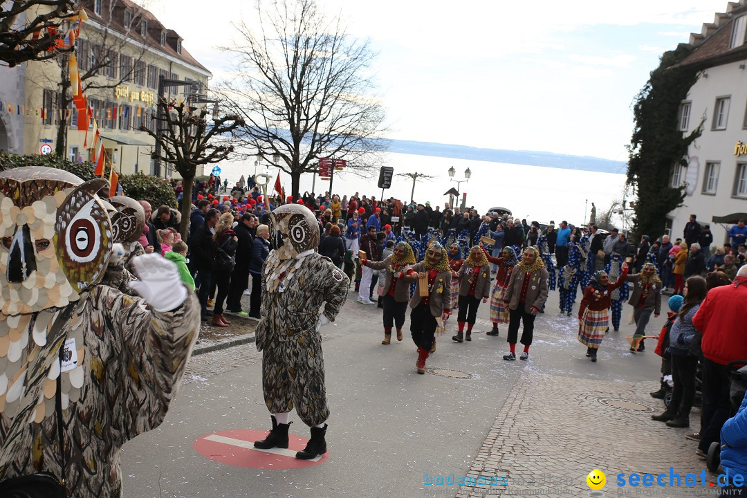 Fasnetsumzug mit Narrenbaumstellen: Meersburg am Bodensee, 24.02.2019