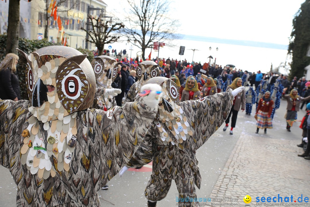 Fasnetsumzug mit Narrenbaumstellen: Meersburg am Bodensee, 24.02.2019