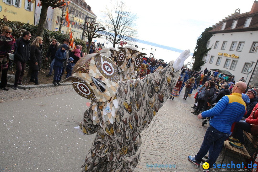 Fasnetsumzug mit Narrenbaumstellen: Meersburg am Bodensee, 24.02.2019