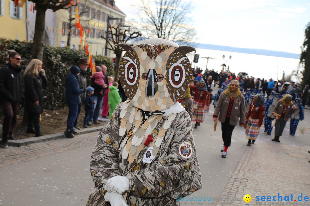 Fasnetsumzug mit Narrenbaumstellen: Meersburg am Bodensee, 24.02.2019