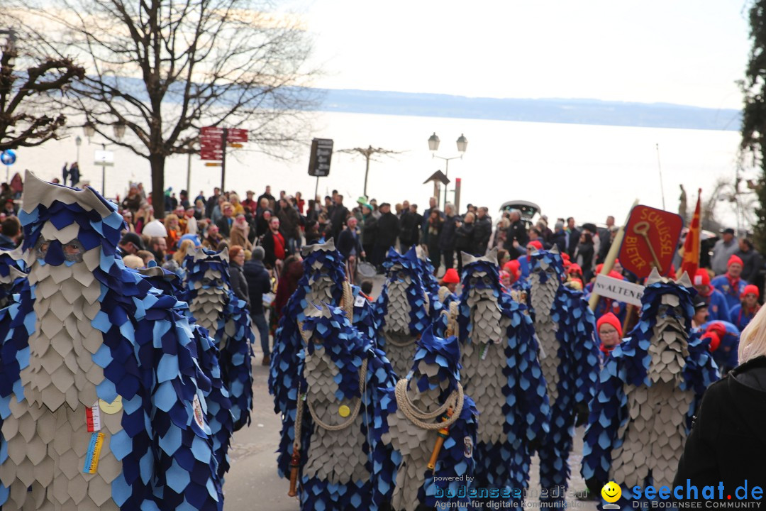 Fasnetsumzug mit Narrenbaumstellen: Meersburg am Bodensee, 24.02.2019