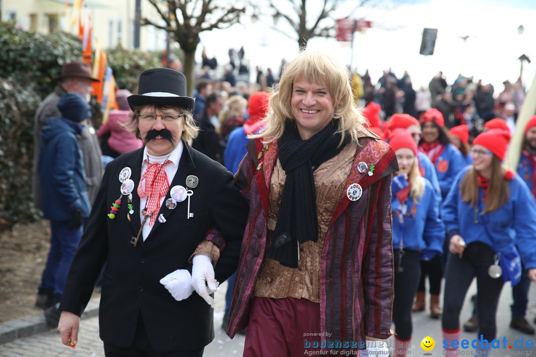 Fasnetsumzug mit Narrenbaumstellen: Meersburg am Bodensee, 24.02.2019