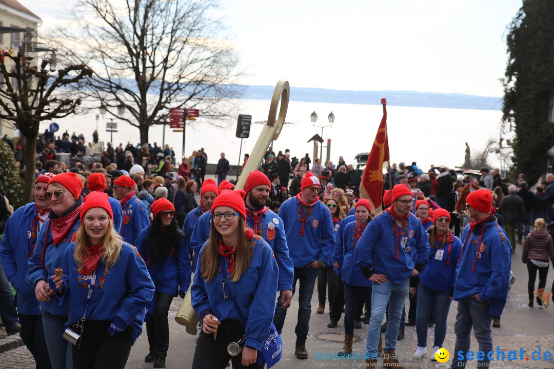 Fasnetsumzug mit Narrenbaumstellen: Meersburg am Bodensee, 24.02.2019