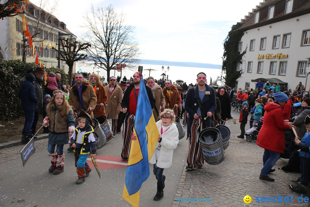 Fasnetsumzug mit Narrenbaumstellen: Meersburg am Bodensee, 24.02.2019