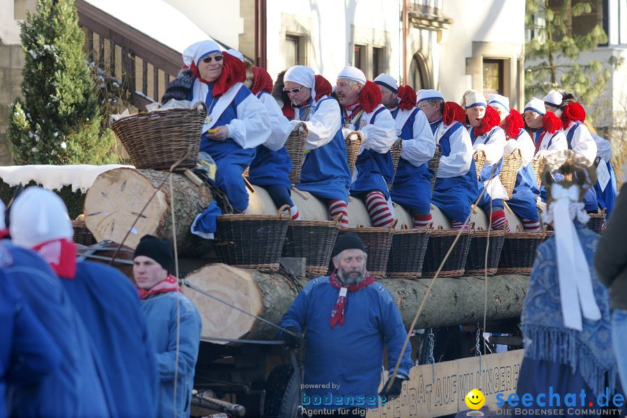 Narrenumzug: Villingen, 16.02.2010