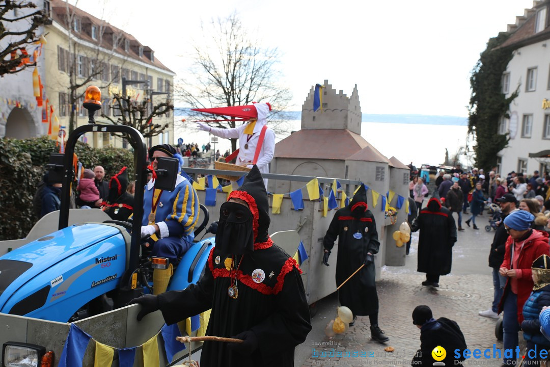 Fasnetsumzug mit Narrenbaumstellen: Meersburg am Bodensee, 24.02.2019