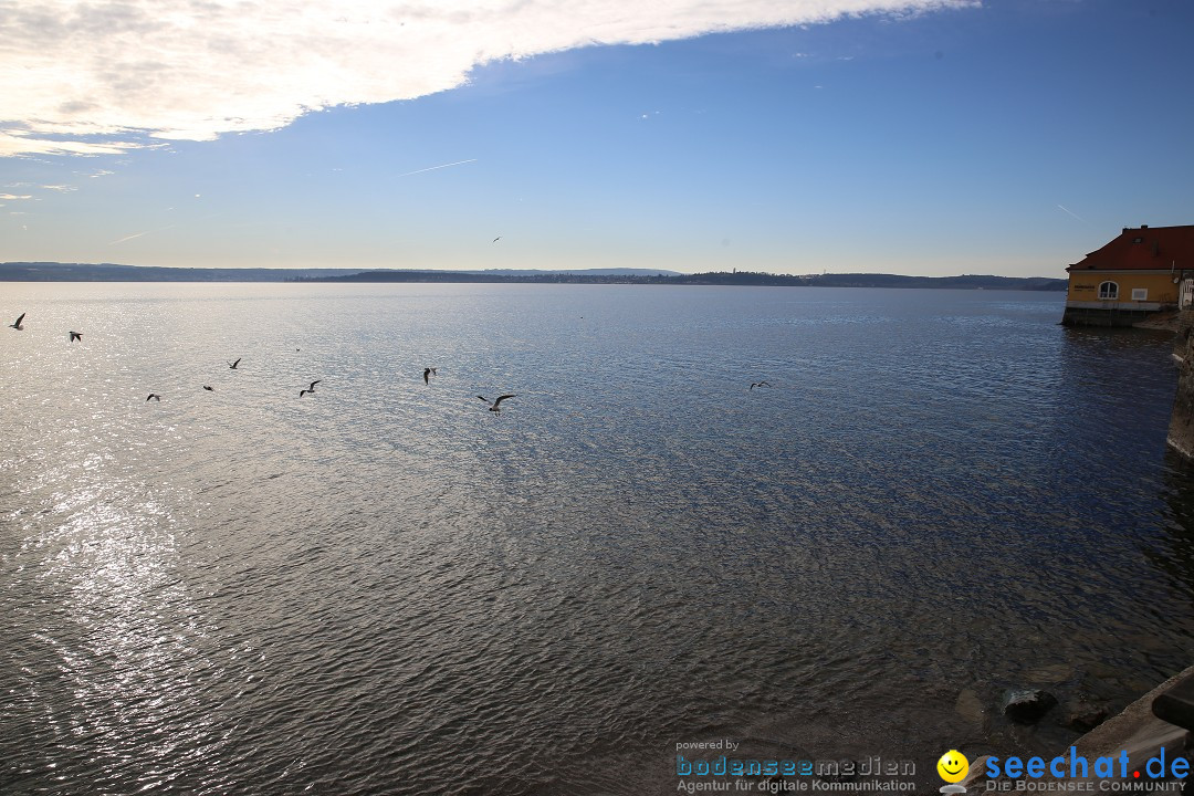 Fasnetsumzug mit Narrenbaumstellen: Meersburg am Bodensee, 24.02.2019