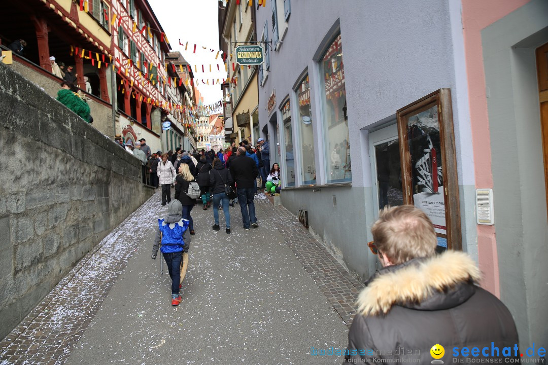 Fasnetsumzug mit Narrenbaumstellen: Meersburg am Bodensee, 24.02.2019