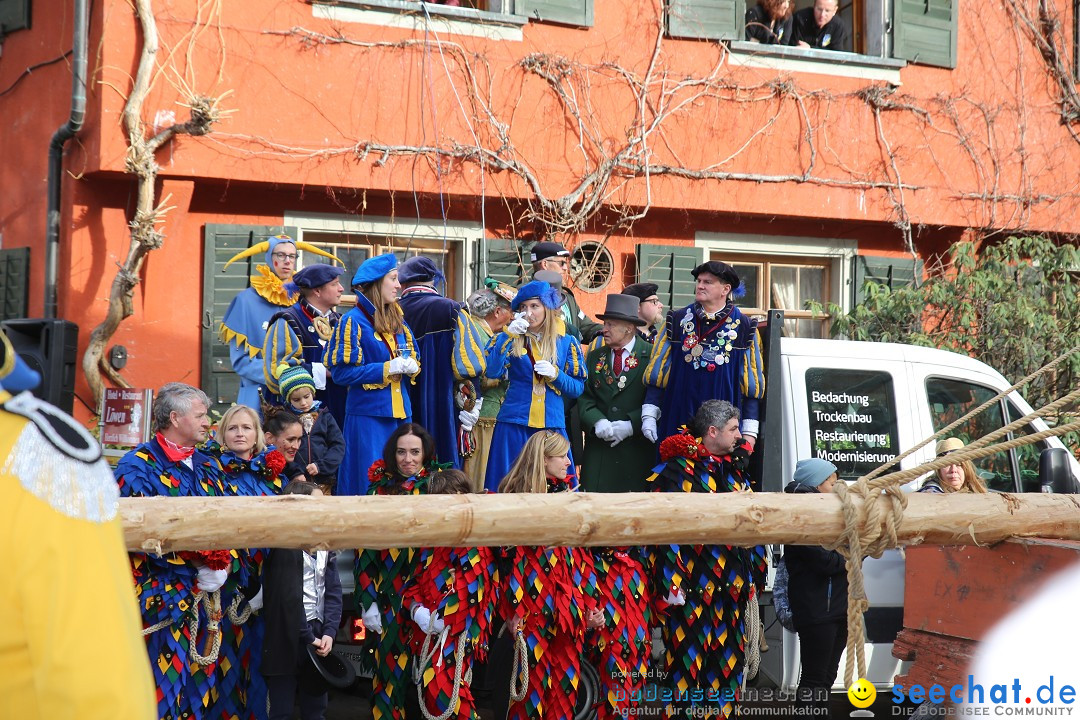 Fasnetsumzug mit Narrenbaumstellen: Meersburg am Bodensee, 24.02.2019