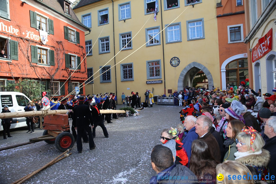 Fasnetsumzug mit Narrenbaumstellen: Meersburg am Bodensee, 24.02.2019