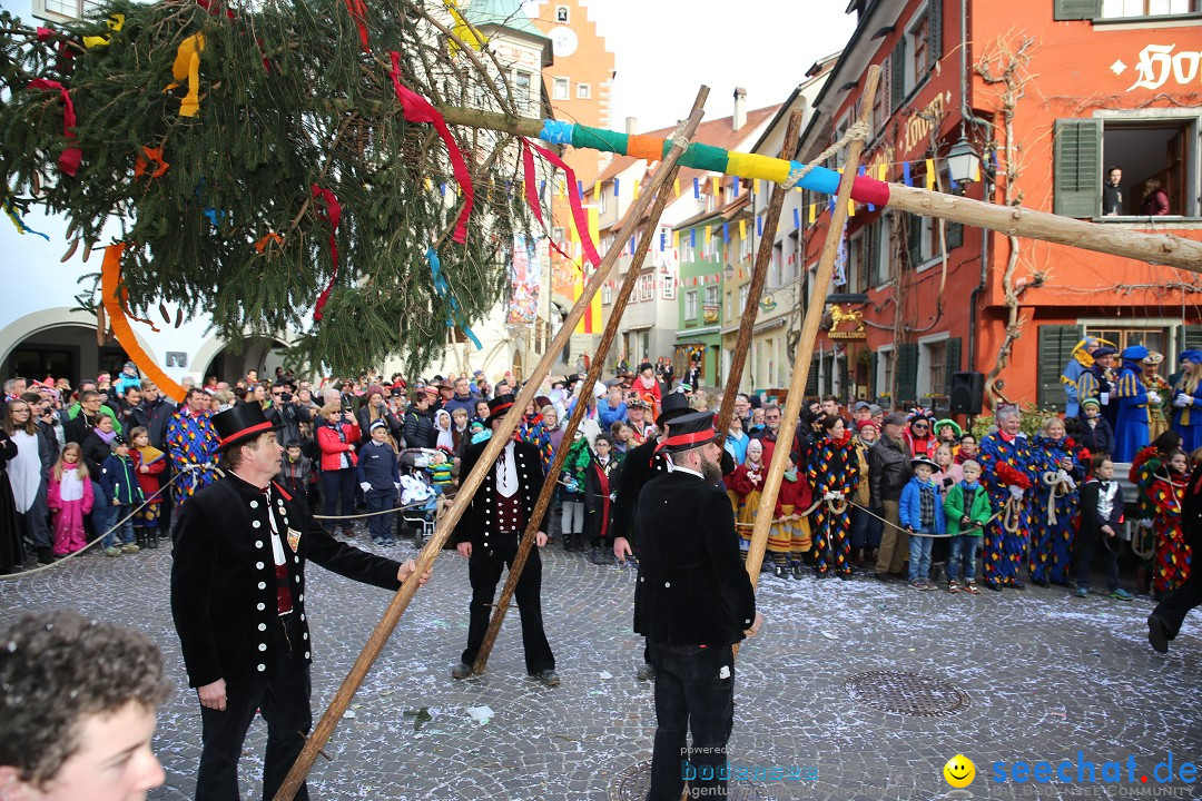 Fasnetsumzug mit Narrenbaumstellen: Meersburg am Bodensee, 24.02.2019