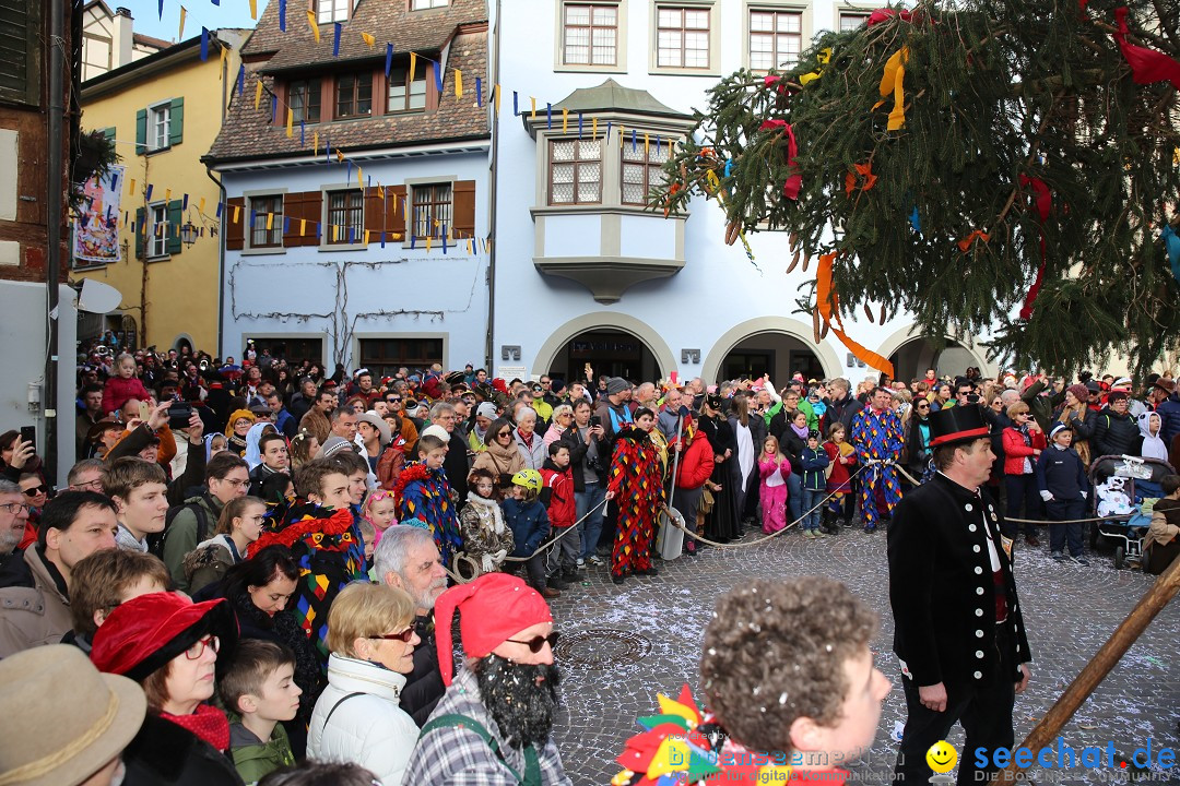 Fasnetsumzug mit Narrenbaumstellen: Meersburg am Bodensee, 24.02.2019