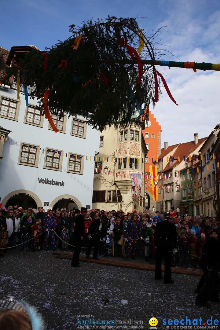 Fasnetsumzug mit Narrenbaumstellen: Meersburg am Bodensee, 24.02.2019