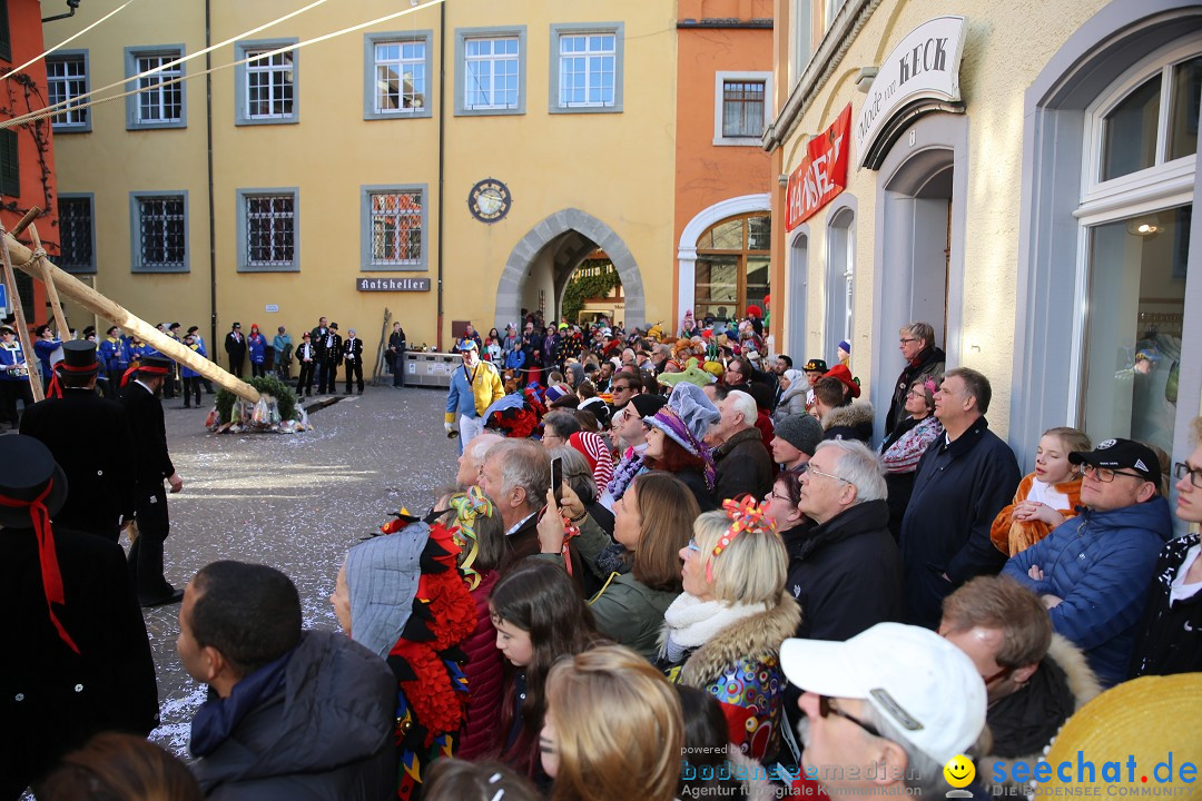 Fasnetsumzug mit Narrenbaumstellen: Meersburg am Bodensee, 24.02.2019