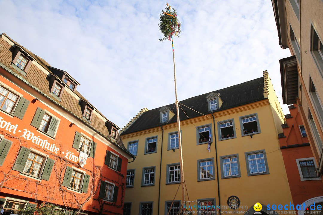 Fasnetsumzug mit Narrenbaumstellen: Meersburg am Bodensee, 24.02.2019