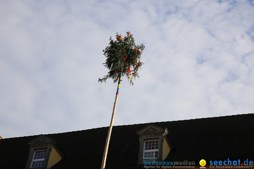 Fasnetsumzug mit Narrenbaumstellen: Meersburg am Bodensee, 24.02.2019